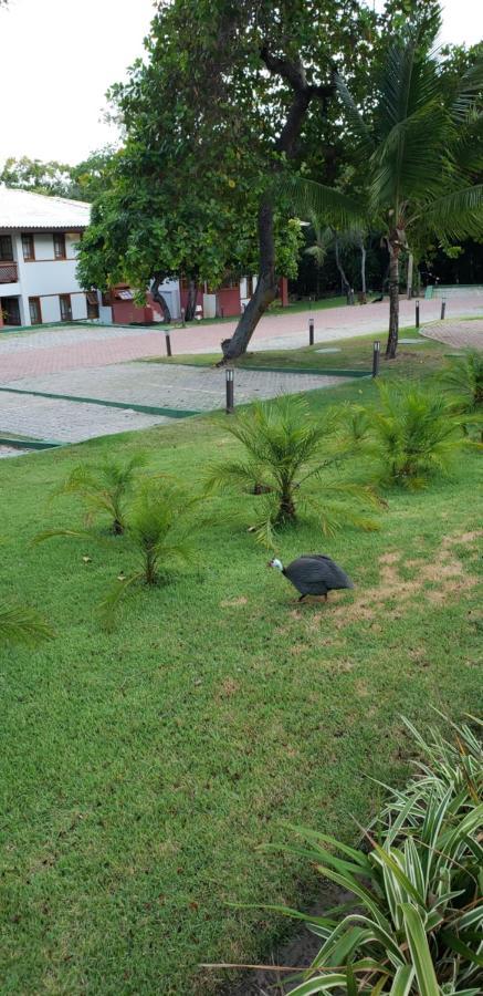 Apto Incrivel Em Condominio Lindo Praia do Forte Kültér fotó